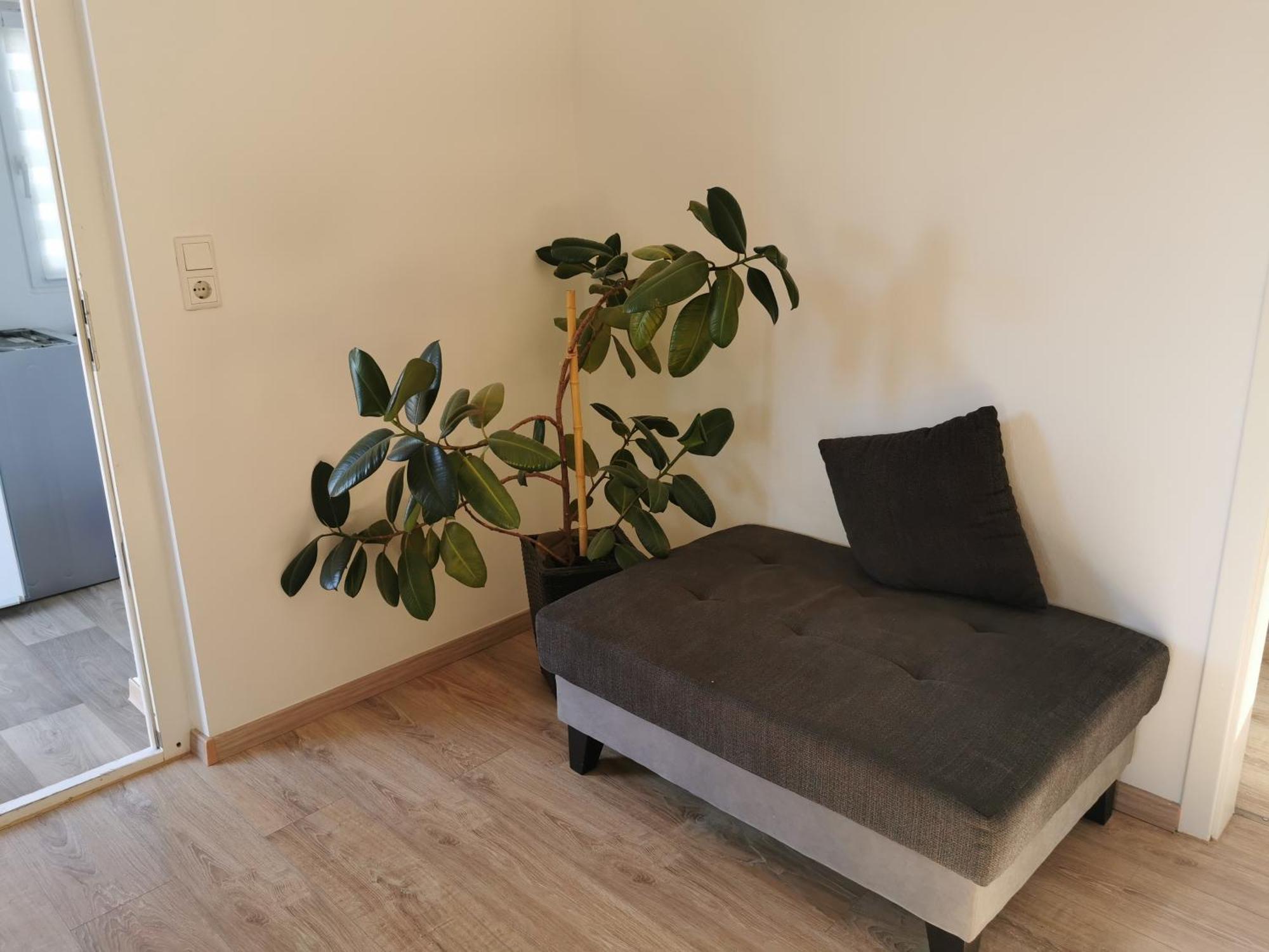 4-Zimmer-Wohnung Mit 6 Betten Bad Oeynhausen Extérieur photo